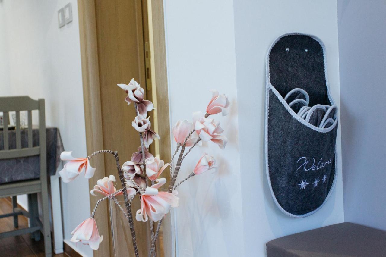 Apartmani Mikic Palić エクステリア 写真